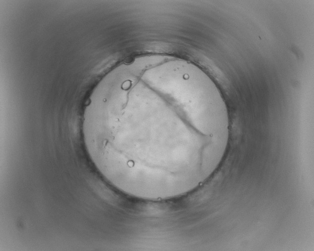 X0000115030305200911231118