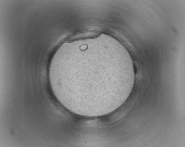 X0000115030306200911231118