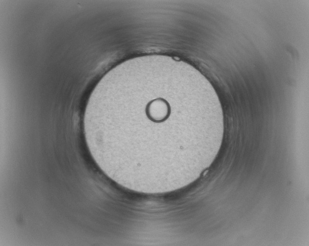 X0000115030308200911231118