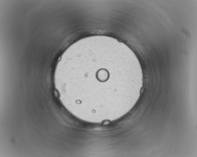 X0000115030312200911231118