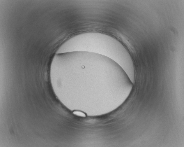 X0000115030313200911231118