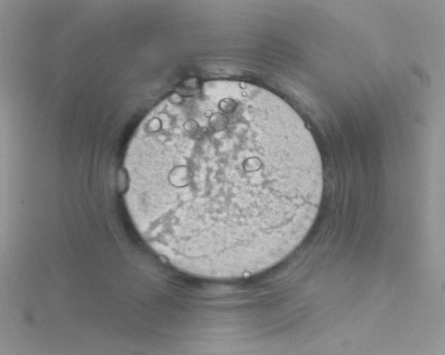 X0000115030315200911231118