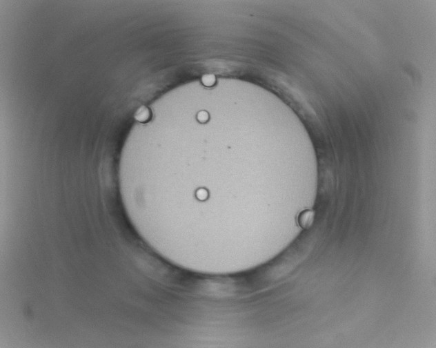 X0000115030317200911231118