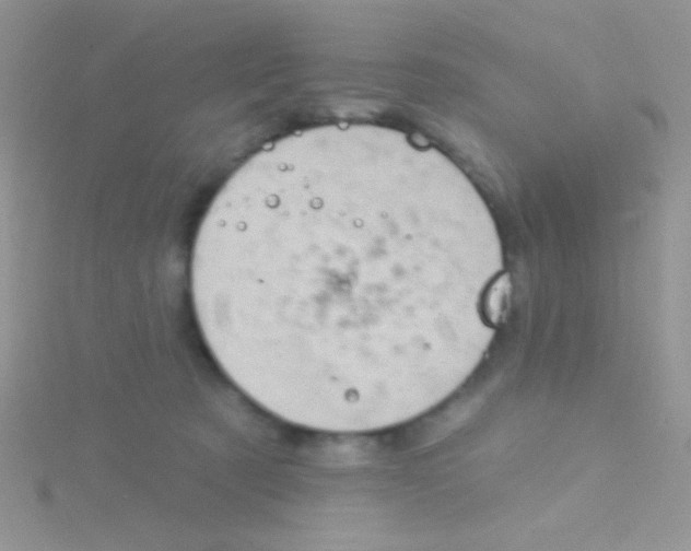 X0000115030321200911231118