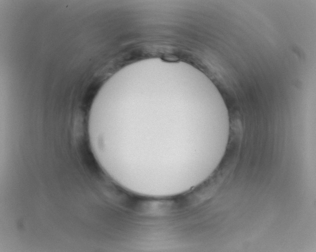 X0000115030323200911231117