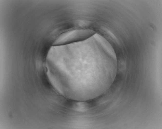 X0000115030324200911231117