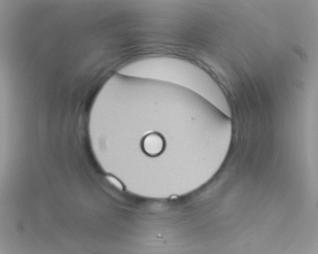 X0000115030325200911231117