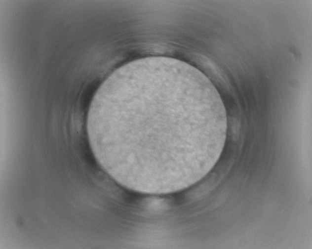 X0000115030326200911231117