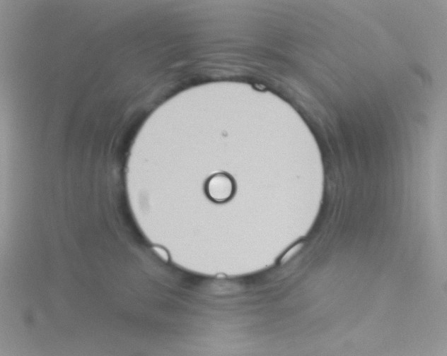 X0000115030327200911231117