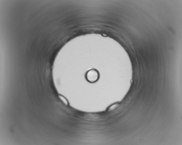 X0000115030328200911231117