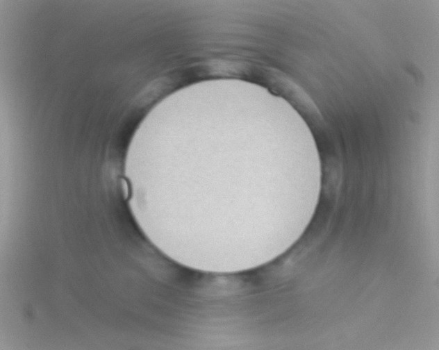 X0000115030329200911231117