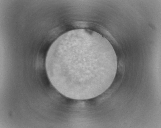 X0000115030330200911231117