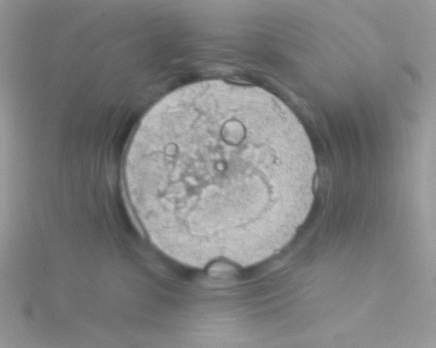 X0000115030331200911231117