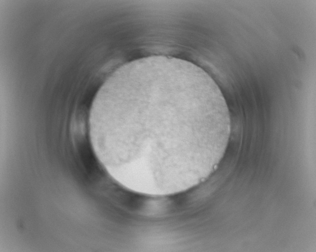 X0000115030334200911231117