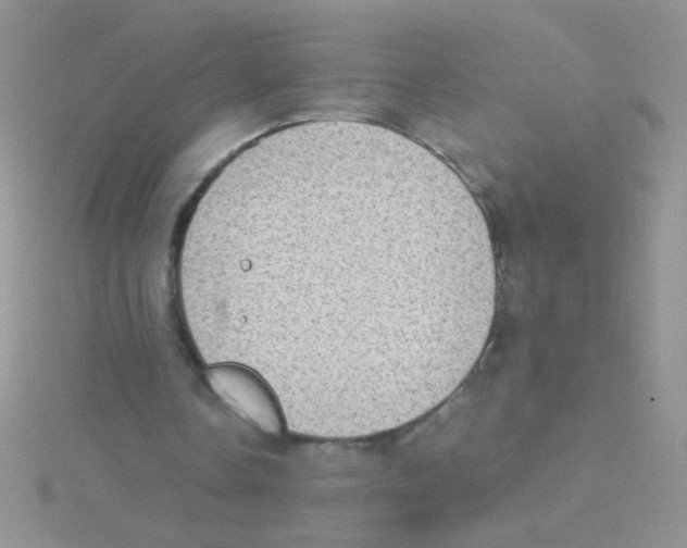 X0000115030338200911231117