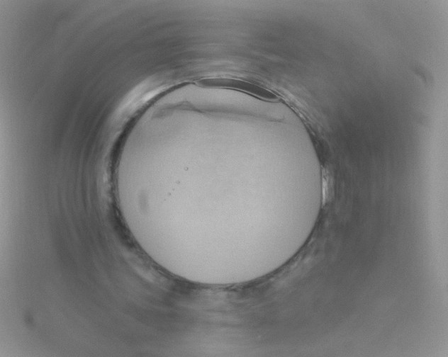 X0000115030339200911231117