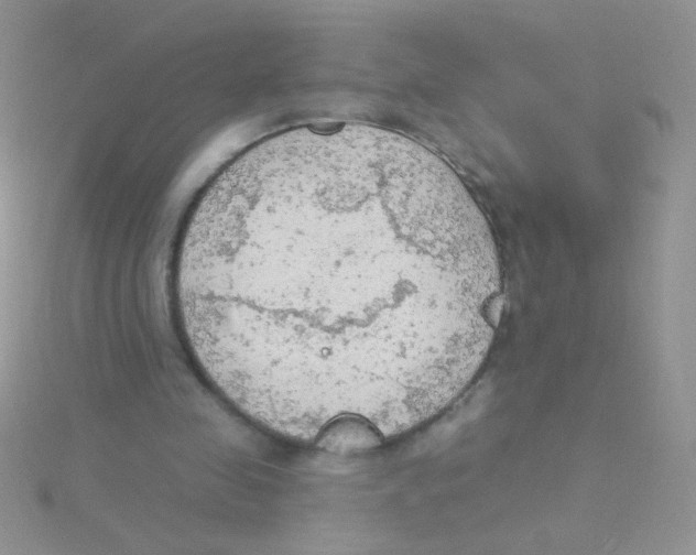 X0000115030341200911231117