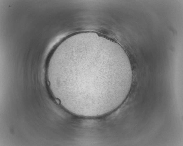 X0000115030342200911231117