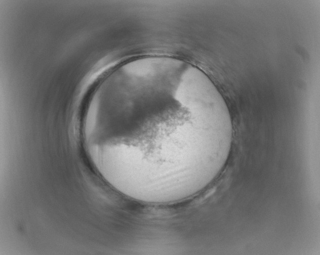 X0000115030343200911231117