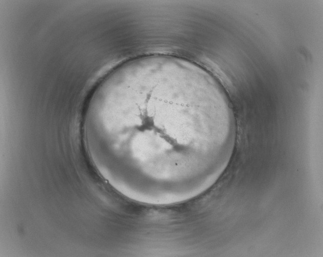 X0000115030346200911231117