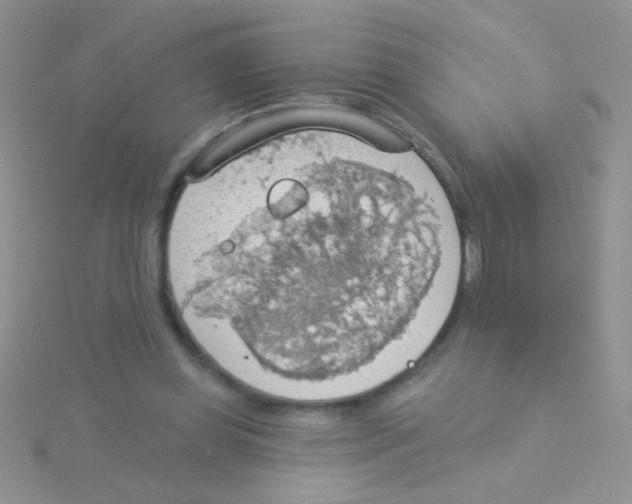 X0000115030349200911231117