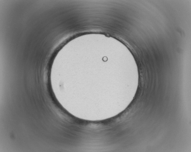 X0000115030350200911231117