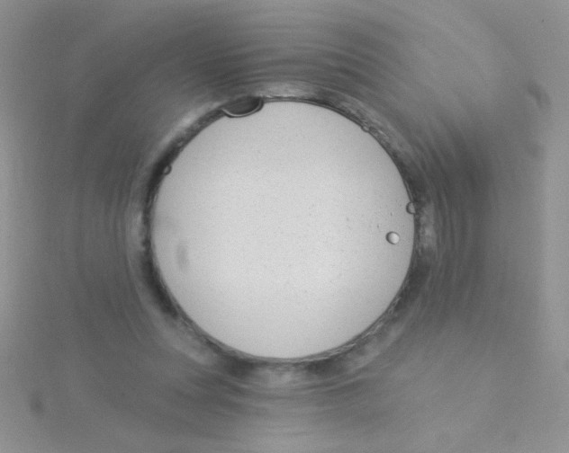 X0000115030351200911231117