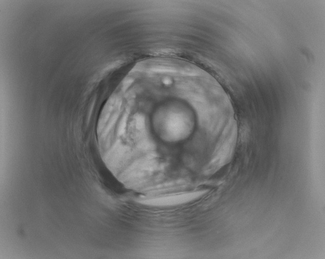 X0000115030353200911231117