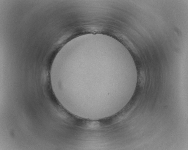 X0000115030355200911231117