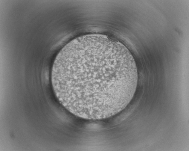 X0000115030358200911231117