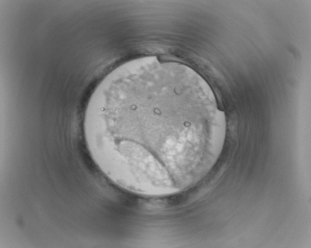 X0000115030359200911231117