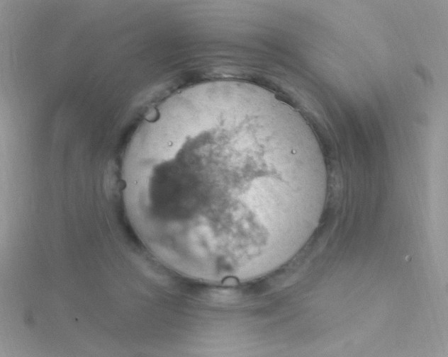 X0000115030361200911231117