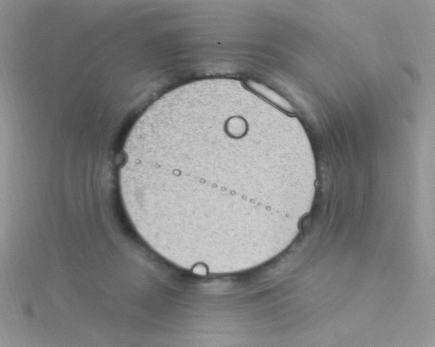 X0000115030362200911231117