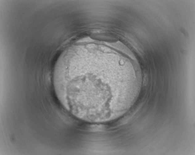 X0000115030363200911231117