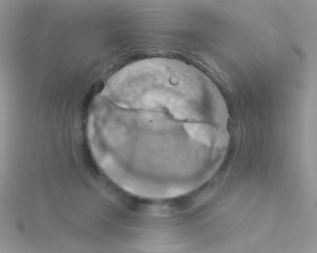 X0000115030366200911231117