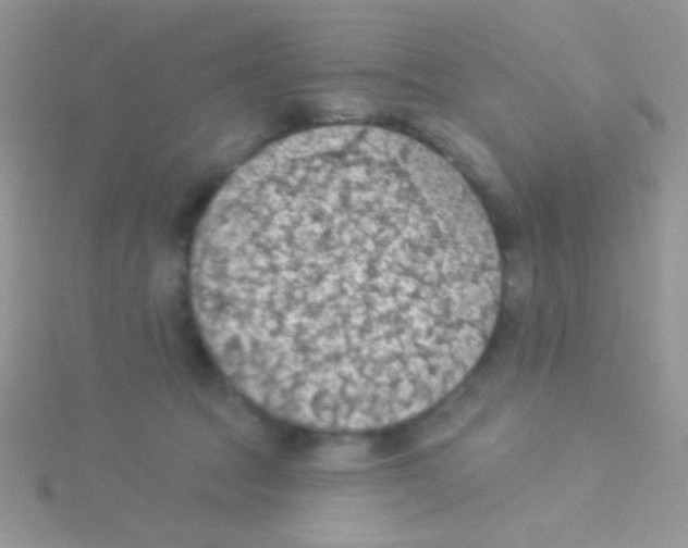 X0000115030369200911231117