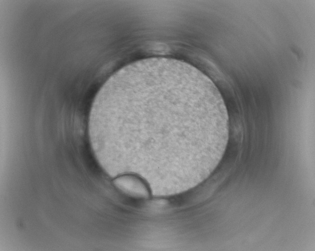 X0000115030374200911231117