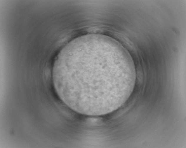 X0000115030375200911231117