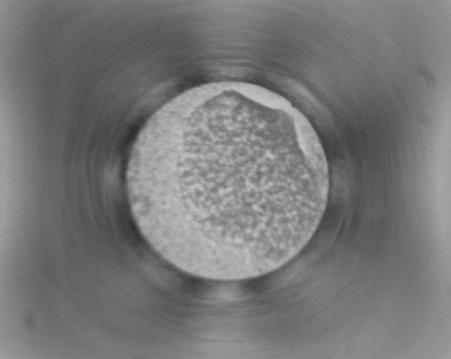 X0000115030377200911231117