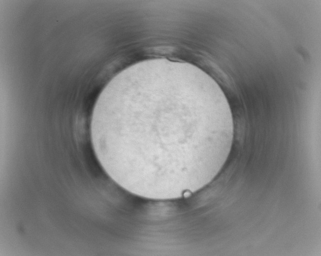 X0000115030378200911231117