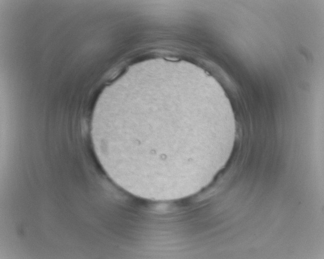 X0000115030382200911231117