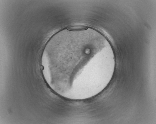 X0000115030385200911231117