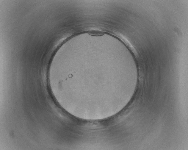 X0000115030386200911231117