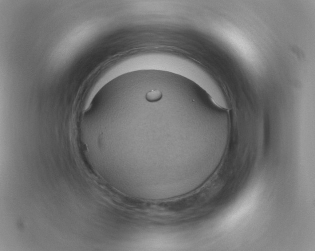 X0000115030387200911231117