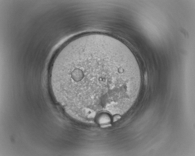 X0000115030388200911231117