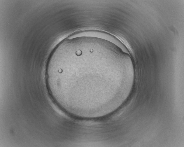 X0000115030389200911231117