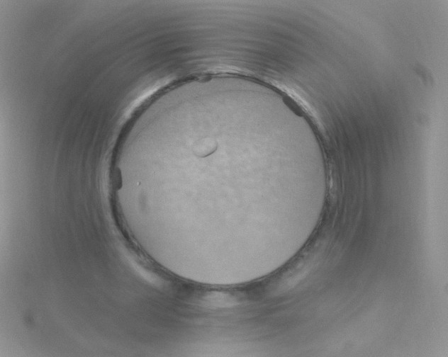 X0000115030390200911231117