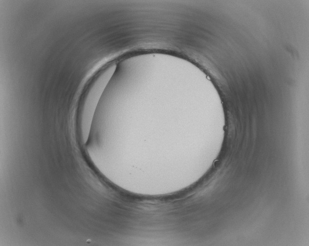 X0000115030391200911231117