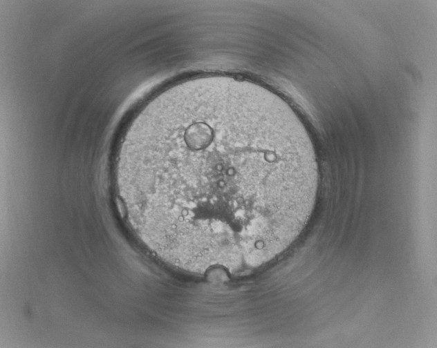 X0000115030392200911231117