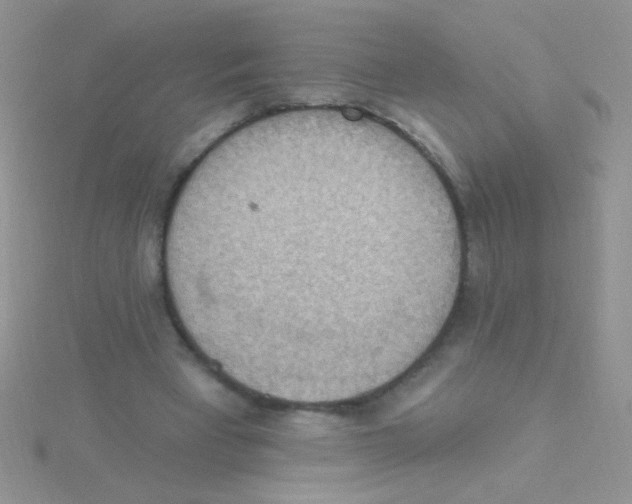 X0000115030393200911231117